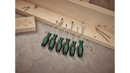 Bosch Screwdriver Set 6-Piece (10 Years Guarantee)